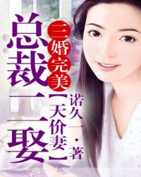 总裁二婚小说